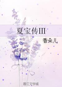 夏宝传3书客吧