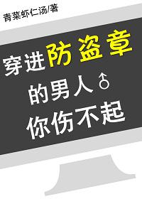 穿进防盗章的男人你伤不起txt