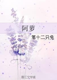 阿萝遗珠免费