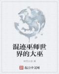 混迹巫师世界的大巫TXT