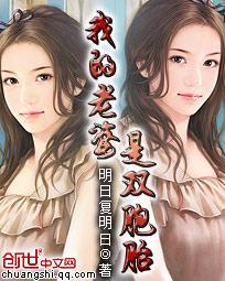 我的老婆是双胞胎作者作品