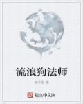 流浪狗吃什么