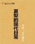 夏梨的现代日常相似的