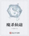 无极仙途魔火