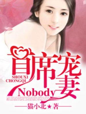 首席宠妻NobodyTXT