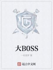 大B0SS是升么意思