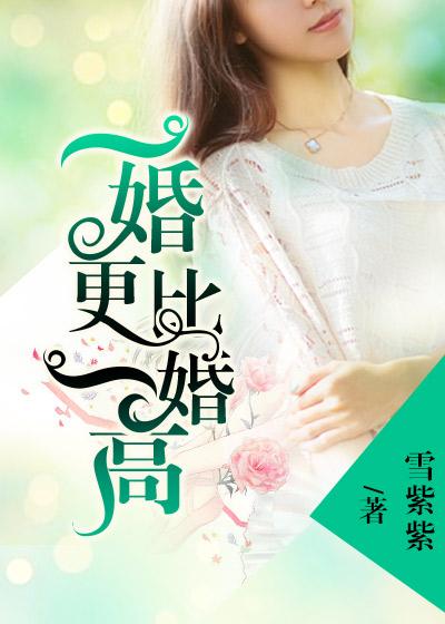 一婚更比一婚高全文免费