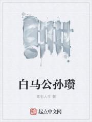 白马将军公孙瓒