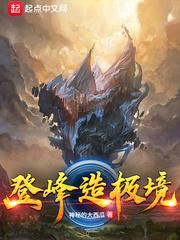 登峰造极境现场版