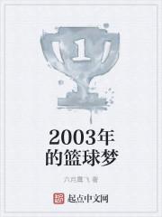 2003年nba球员