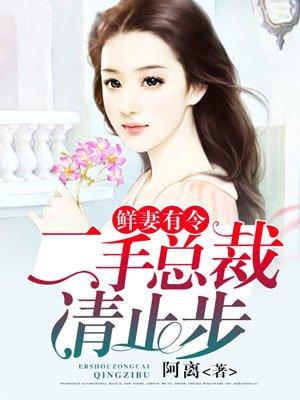 婚宠来袭总裁二婚新妻