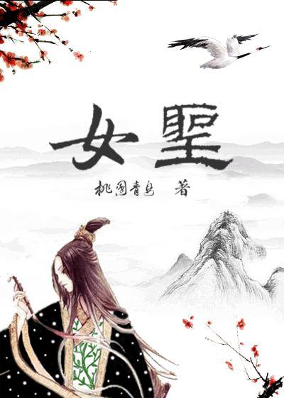 女圣骑士穿什么甲