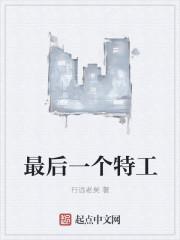 中国最后一个特务将军