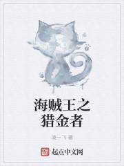 海贼王之赏金猎人中文版