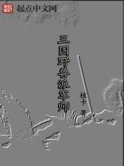 三国野兽派军师txt