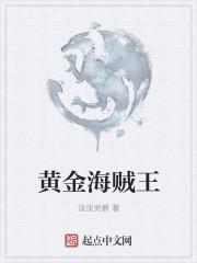 海贼王黄金梅丽号