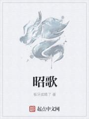 昭歌热水器怎么样