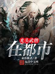 光头武僧在都市txt精校版