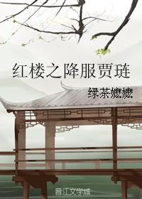 红楼 从今以后 我就是贾琏