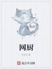 网厨师长