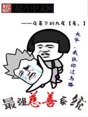 超级慈善系统