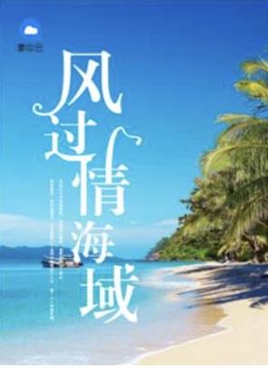 风过情海城免费阅读