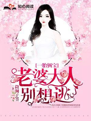 一胎俩宝老婆大人别想逃完结了吗