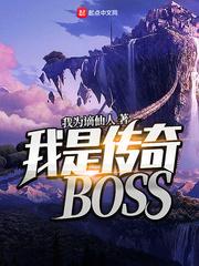 我是传奇BOSS 阅读