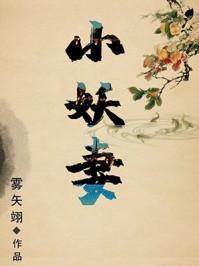 夫君是未来大魔王怎么办?师无命身份