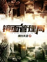 镜面管理局无错版