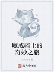 魔戒骑士的奇幻之旅