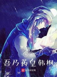 斗破吾乃药皇韩枫 雨夜末路