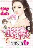 豪门夺婚BOSS的独家挚爱 全文阅读