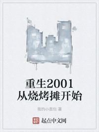 重生到2001年