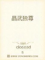 晶武独尊 closeads