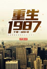 重生1987去奋斗