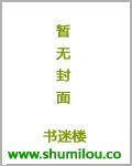 海贼王之法师传奇epub