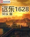 远东1628有声免费