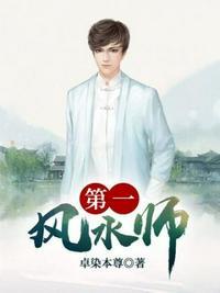 第一风水师epub