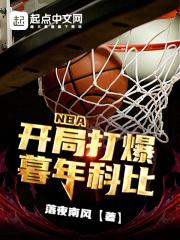 nba开局打爆暮年科比落夜南风