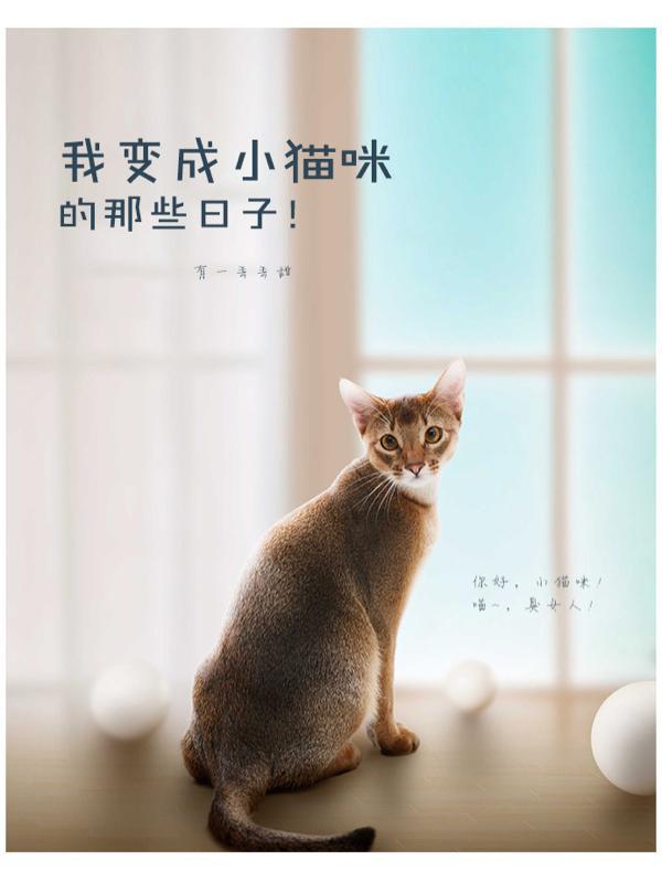 我变成了小猫咪