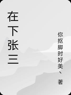 在下张三疯