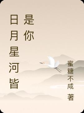 我与日月揽星河什么意思