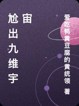 叶玄九维宇宙