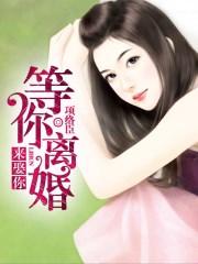 等你离婚来娶你txt