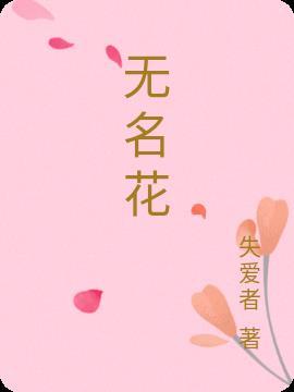 无名花阅读