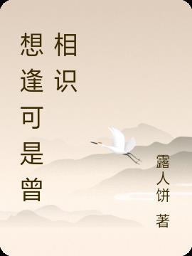 相逢曾相识曲怀扬