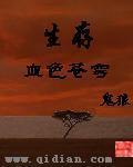 血色苍穹25