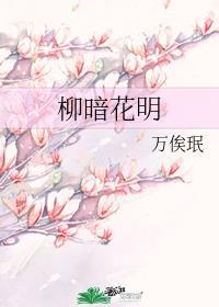 柳暗花明打一数字