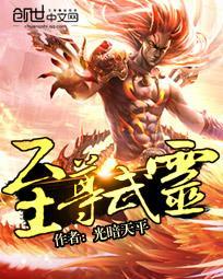 至尊武灵TXT精校版